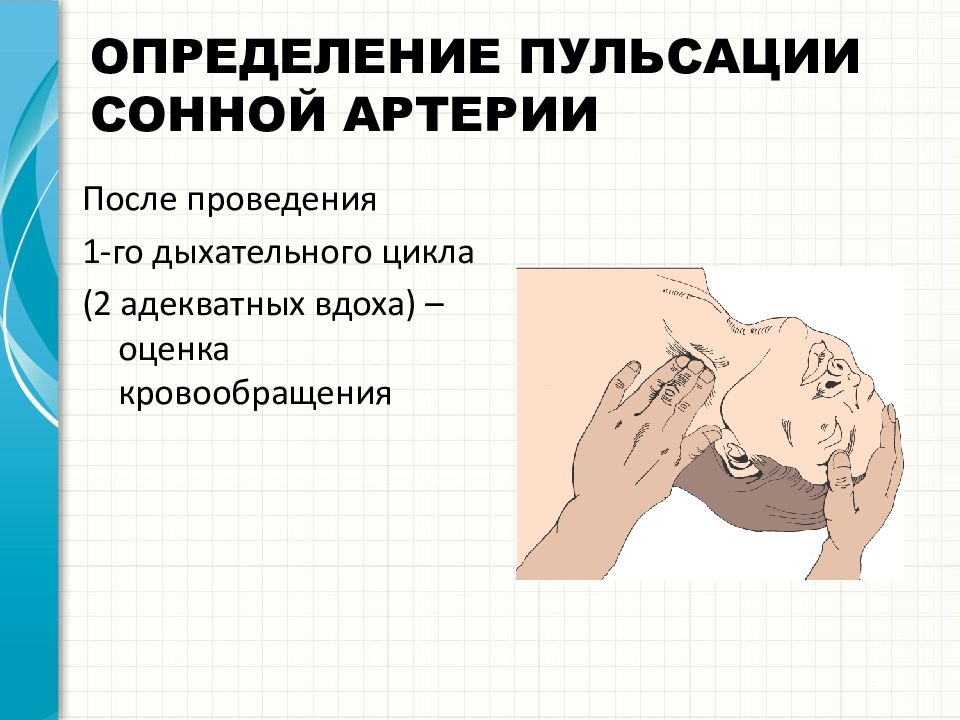 Что будет если надавить на сонную артерию. Пульсация сонных артерий. Определение пульсации на сонной артерии. Измерение пульса на сонной артерии. Пальпация сонной артерии.