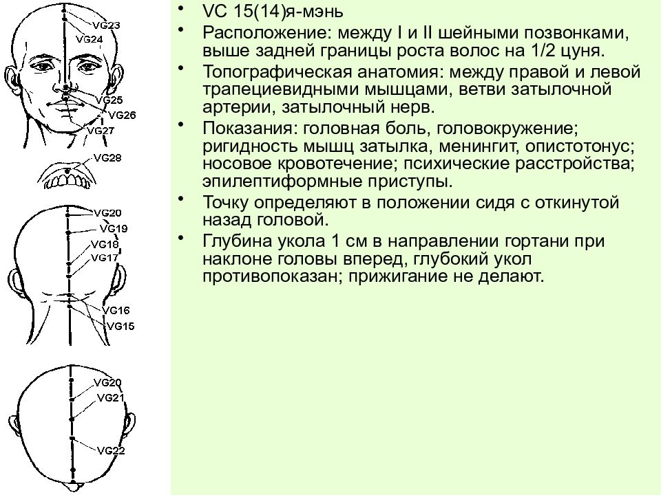 Расположение между. Заднесрединный Меридиан точка 20. Заднесрединный Меридиан расположение. Меридианы на голове схема. Точки переднесрединного меридиана.