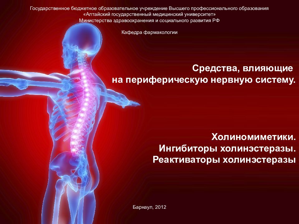 Средства, влияющие на периферическую нервную систему. Холиномиметики. Ингибиторы холинэстеразы. Реактиваторы холинэстеразы