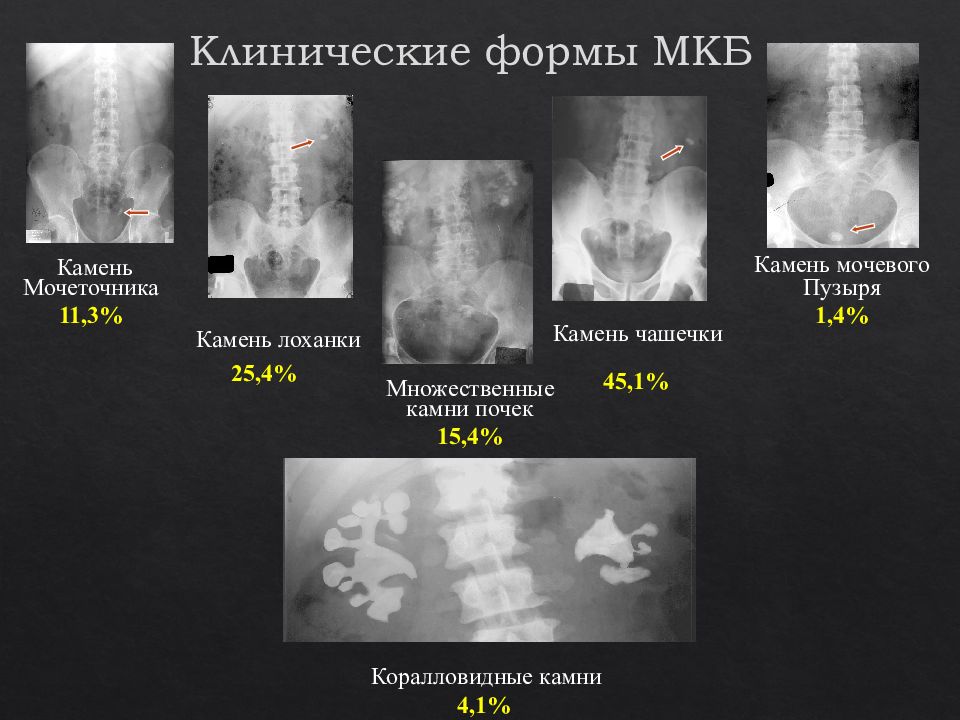 Схема лечения мкб у кошек