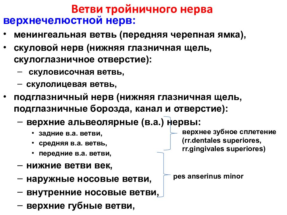 Лечение воспаления тройничного нерва. Ветви тройничного нерва. Лекарство при воспалении тройничного нерва. Невралгия тройничного нерва клинические рекомендации. Таблетки от тройничного нерва на лице.