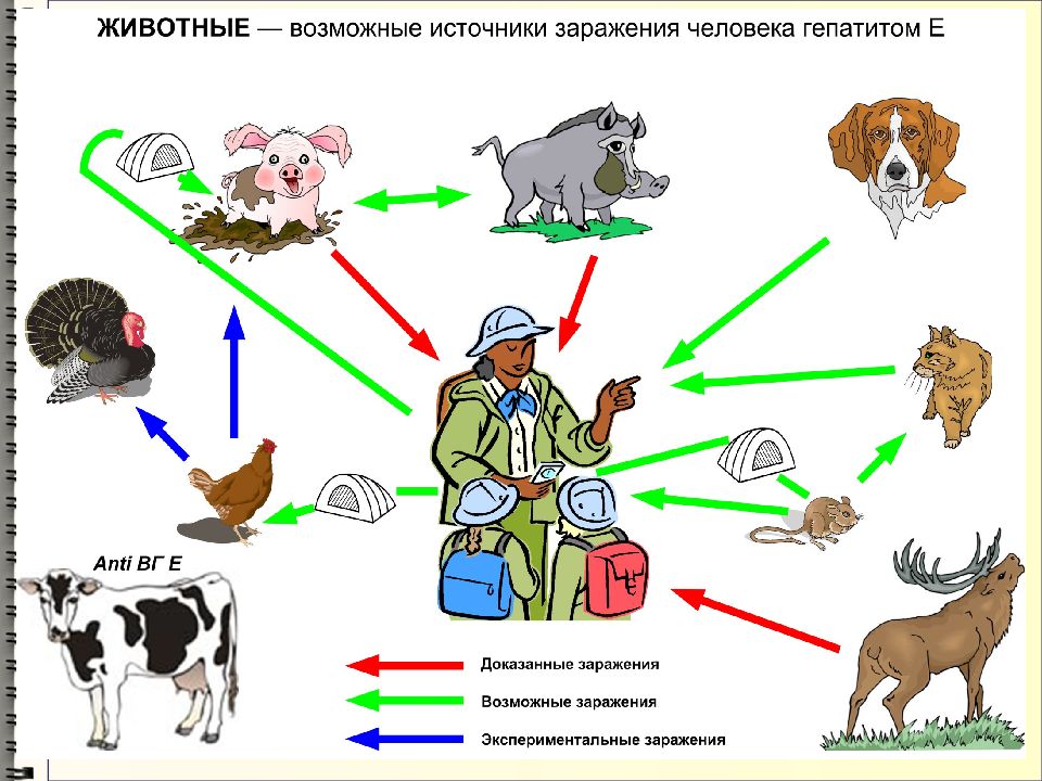 Источники инфекции картинки