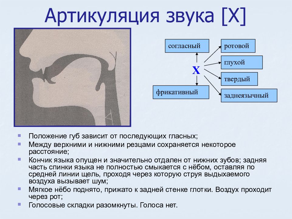 Методы исследования артикуляции презентация