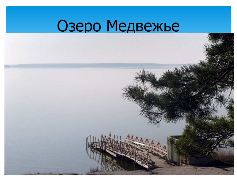 Санаторий озеро медвежье. Курорт озеро Медвежье Курганская. Санаторий озеро Медвежье Курганская область. Санаторий озеро соленое Курганская область. Озеро Медвежье Курганская область официальный сайт.