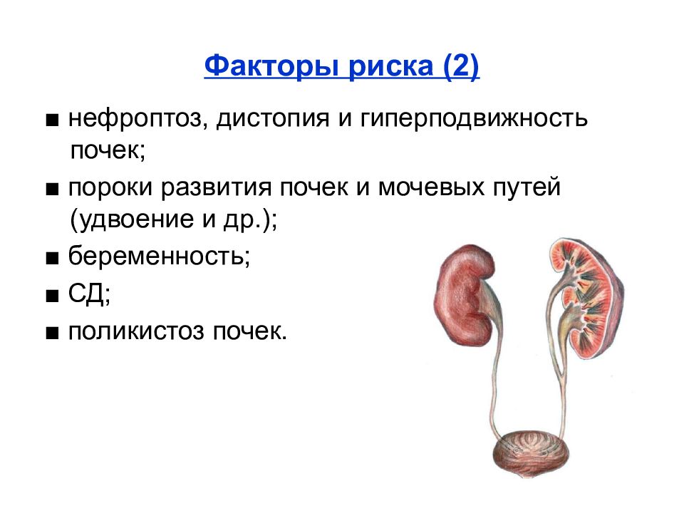 Поражение почек и печени. Факторы риска пиелонефрита. Пиелонефрит с нарушением выделительной функции почек. Фактором риска развития пиелонефрита является. Хронический пиелонефрит факторы риска.