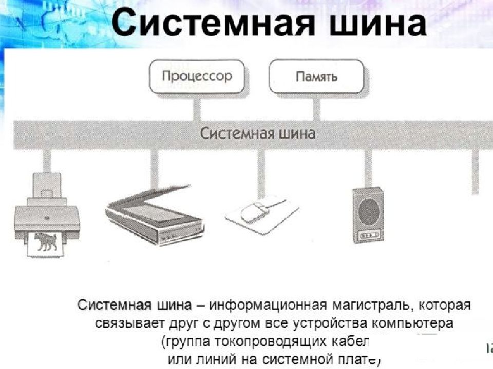 Системная шина. Системная шина ПК схема. Системная магистраль шина схема. Схема системы блока компьютера шина. Каково Назначение шин ПК?.