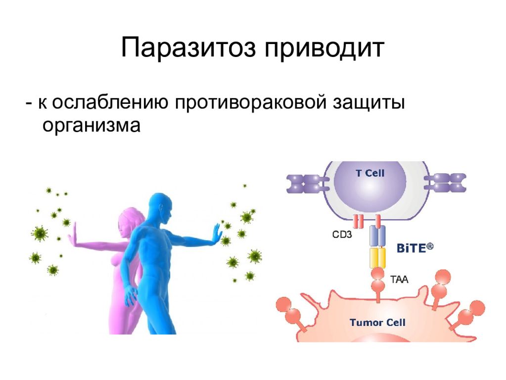 Паразитоз. Паразитоз презентация.