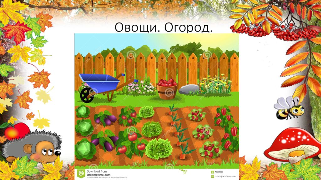 Что нам осень принесет. Слайды осенний огородные. Что нам осень принесла картинки для детей. Презентации в ДОУ осенний огород. Что нам осень подарила картинки.