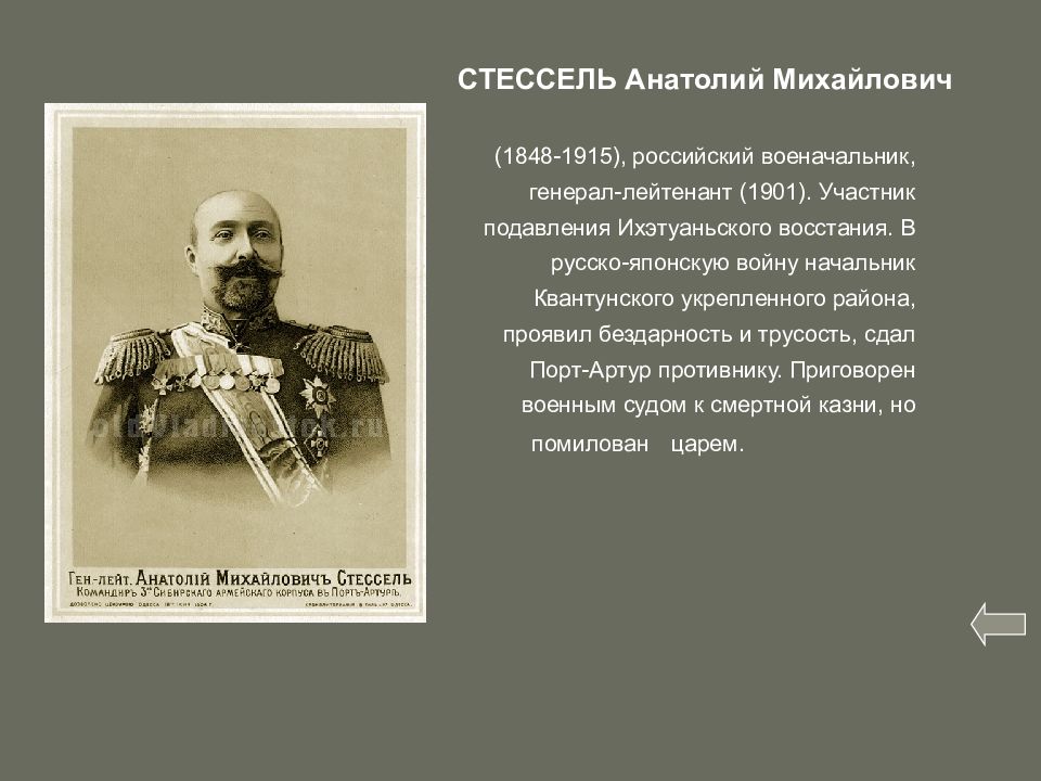 Участник русско японской. Военноначальники русско-японской войны 1904-1905. Военноначальники русско японской войны. Русско-японская война 1904-1905 главнокомандующие Японии. Генерал Стессель русско-японская война 1904-1905.