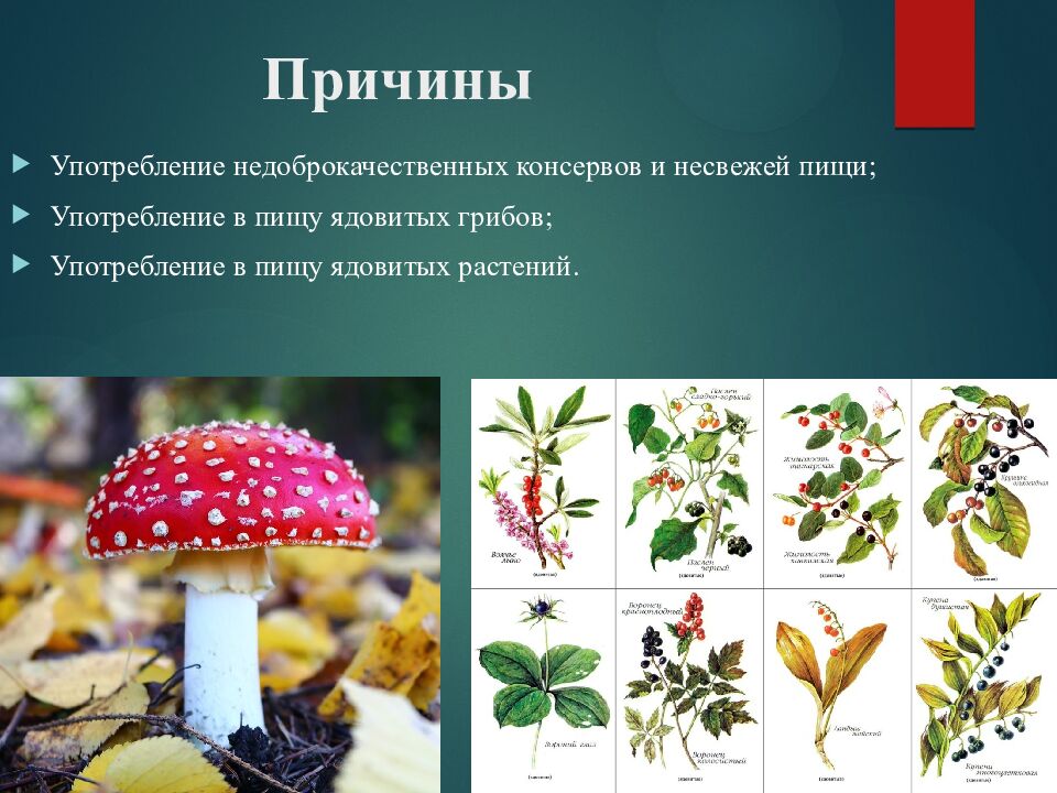 Причины