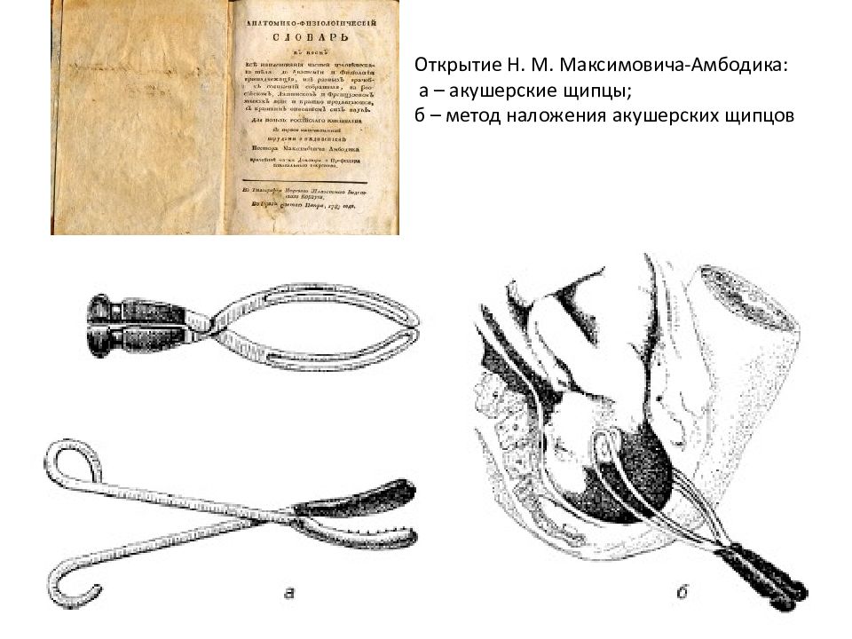 Н м максимович. Акушерские щипцы Нестора Максимовича. Акушерские щипцы Амбодика. Инструменты Максимович-Амбодик. Акушерские щипцы Амбодика Максимовича.