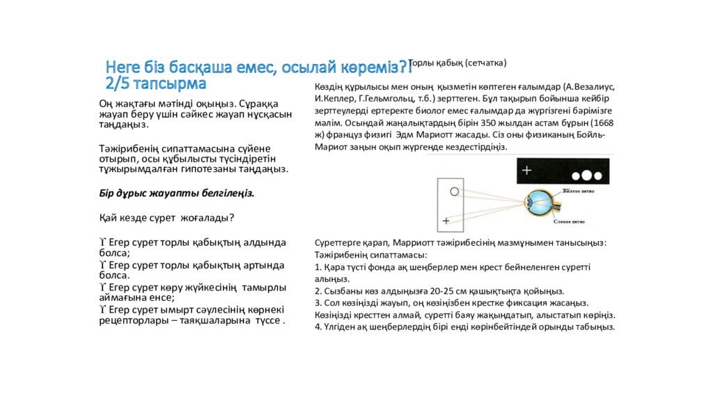 Неге біз басқаша емес, осылай көреміз ?! 2/5 тапсырма