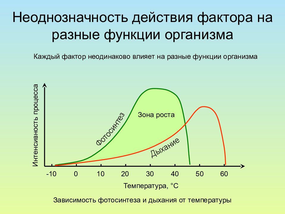 Фактор количества. Неоднозначность действия фактора. Зоны воздействия экологических факторов на организм. График действия факторов. Роль экологических факторов.