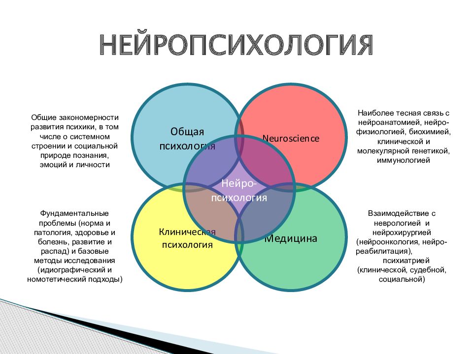 Психолог развития. Связь нейропсихологии с другими науками. Презентация по нейропсихологии. Связь нейропсихологии с другими науками схема. Клиническая нейропсихология.