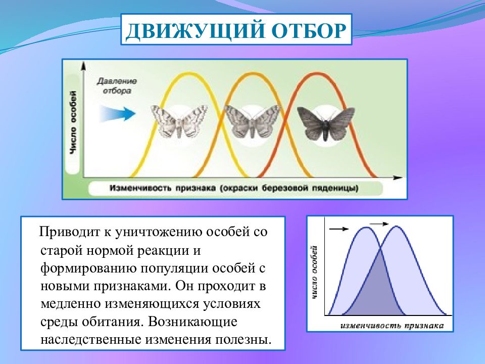 Естественный отбор презентация по биологии