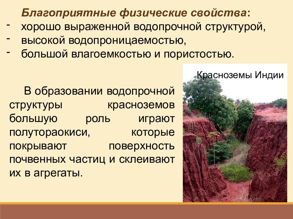 Почва субтропической зоны. Краснозём почвы структура. Красноземы почвы характеристика. Желтозёмы и краснозёмы почвы. Красноземы в России.
