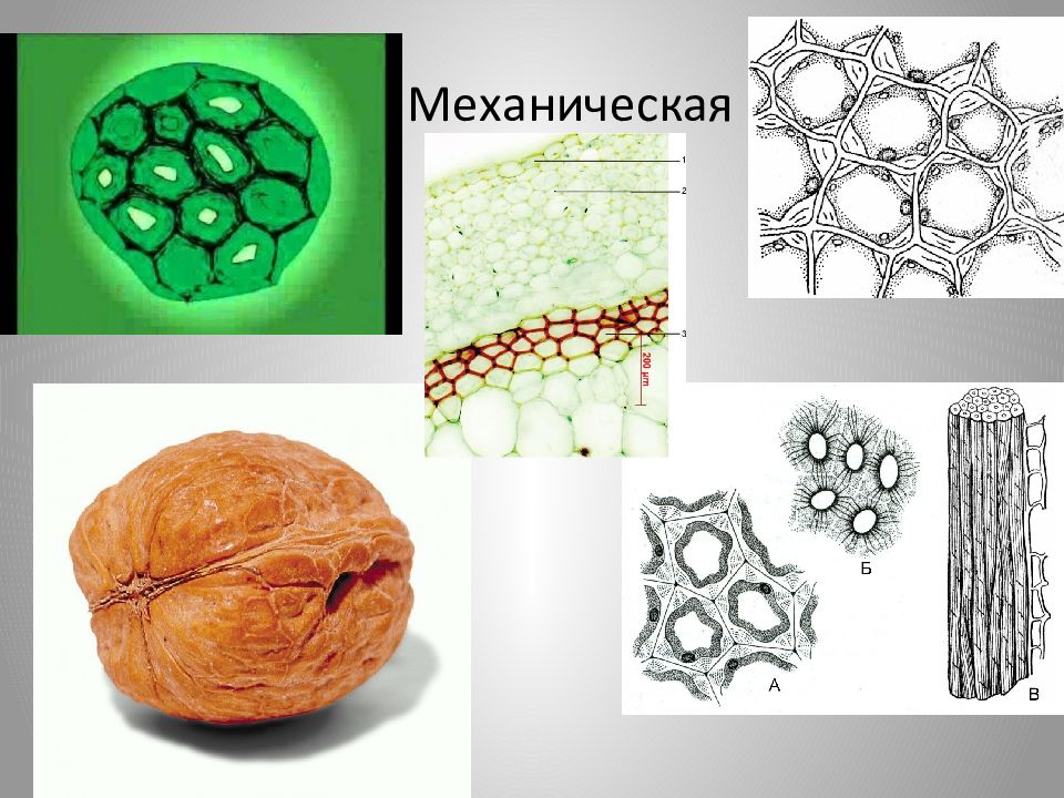 Механическая ткань рисунок