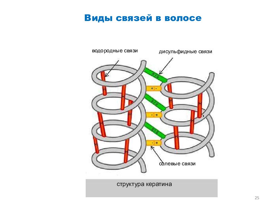 Дисульфидная связь в молекулах