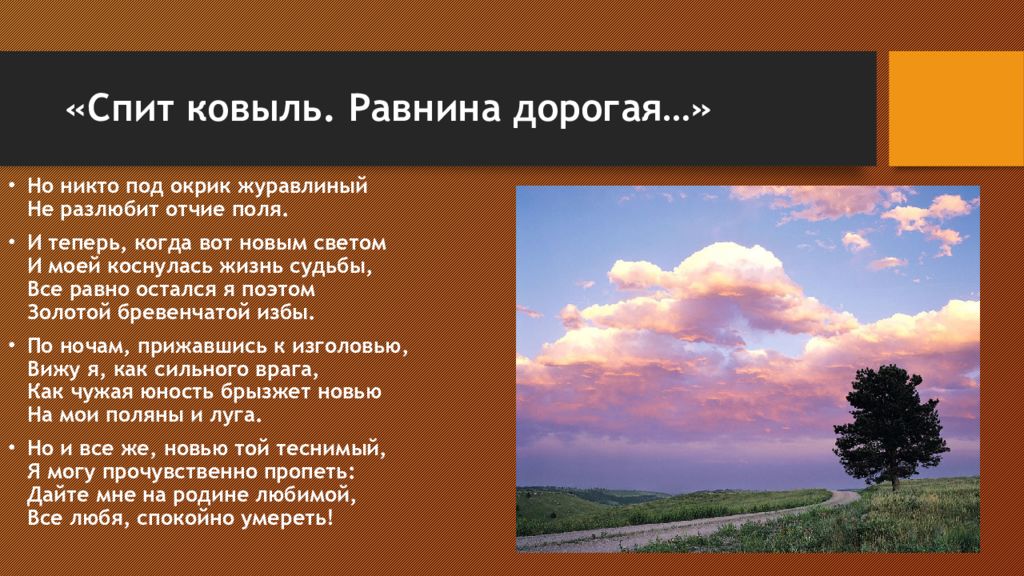 Ковыль равнина дорогая. Сергей Есенин спит ковыль. Спит ковыль. Спит Полынь равнина дорогая. Равнина дорогая Есенин.