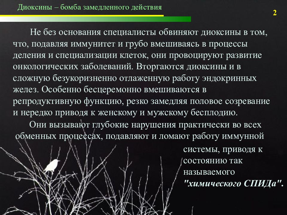 Химический спид. Замедленного действия. Бомба замедленного действия презентация. Диоксин механизм действия. Бомба замедленного действия принцип работы.