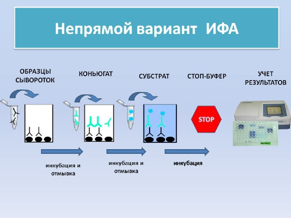 Необходимые ингредиенты особенности и схема постановки неконкурентного ифа методом сэндвича