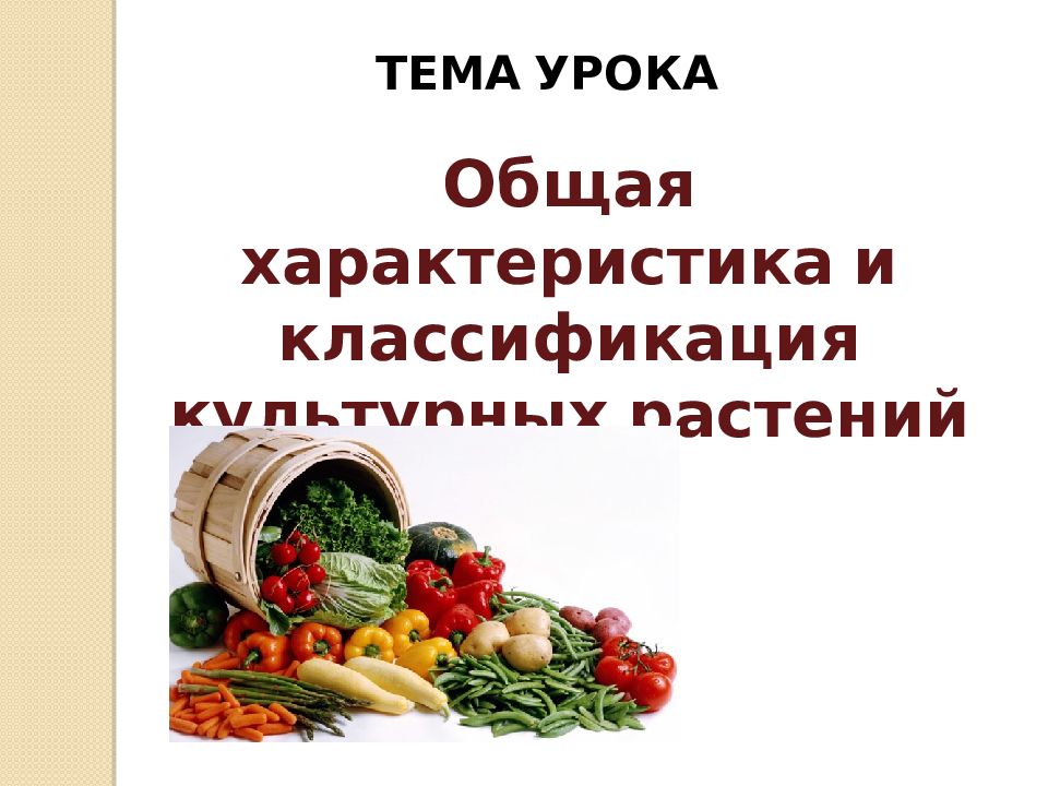 Общая характеристика и классификация культурных растений технология 5 класс презентация