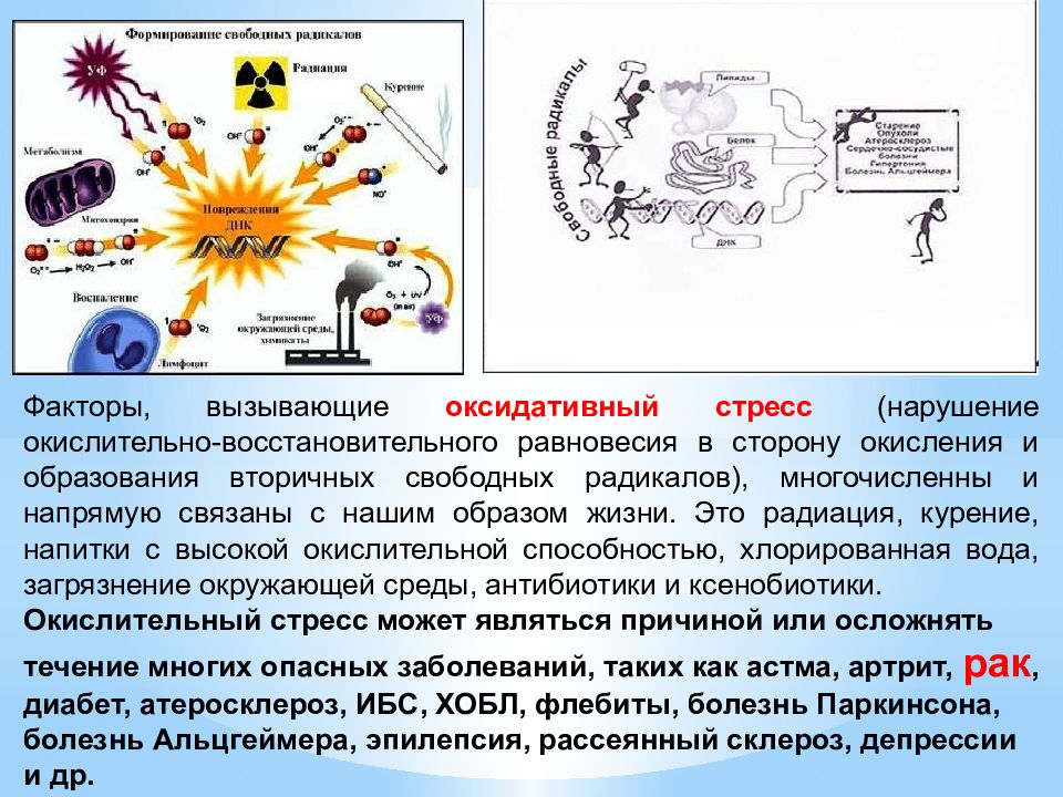 Окислительный стресс. Окислительный стресс биохимия. Механизмы окислительного стресса. Факторы, вызывающие окислительный стресс. Окислительный стресс схема.