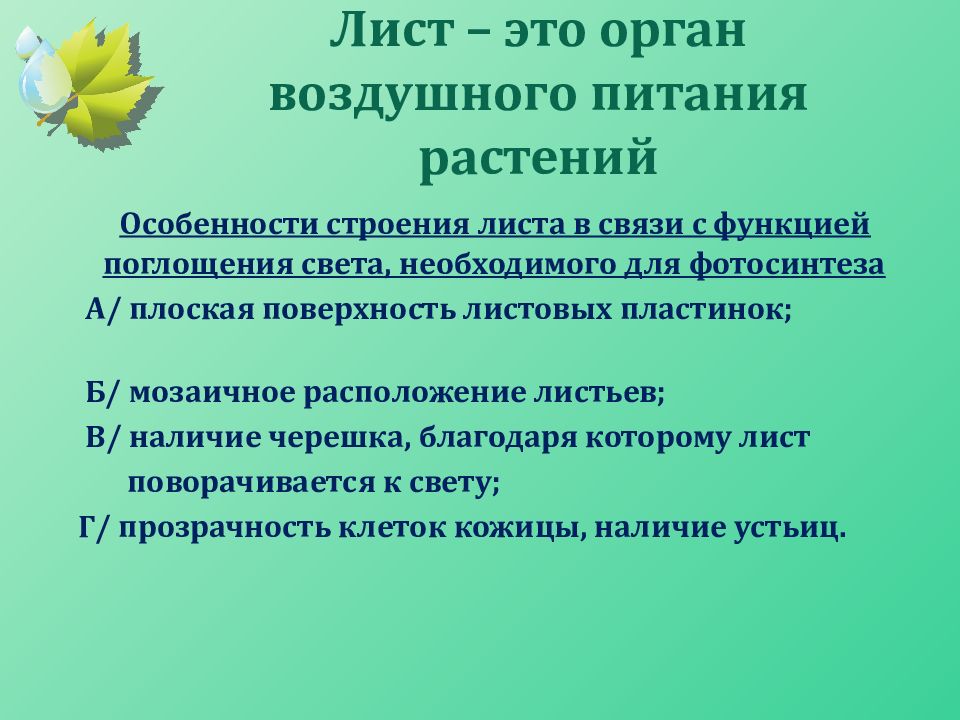 Особенности воздушного питания растений. Лист орган воздушного питания. Лист воздушное питание. Особенности воздушного питания. Органы воздушного питания у растений.