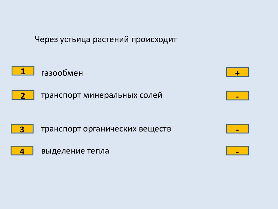 Презентация 6 класс тест