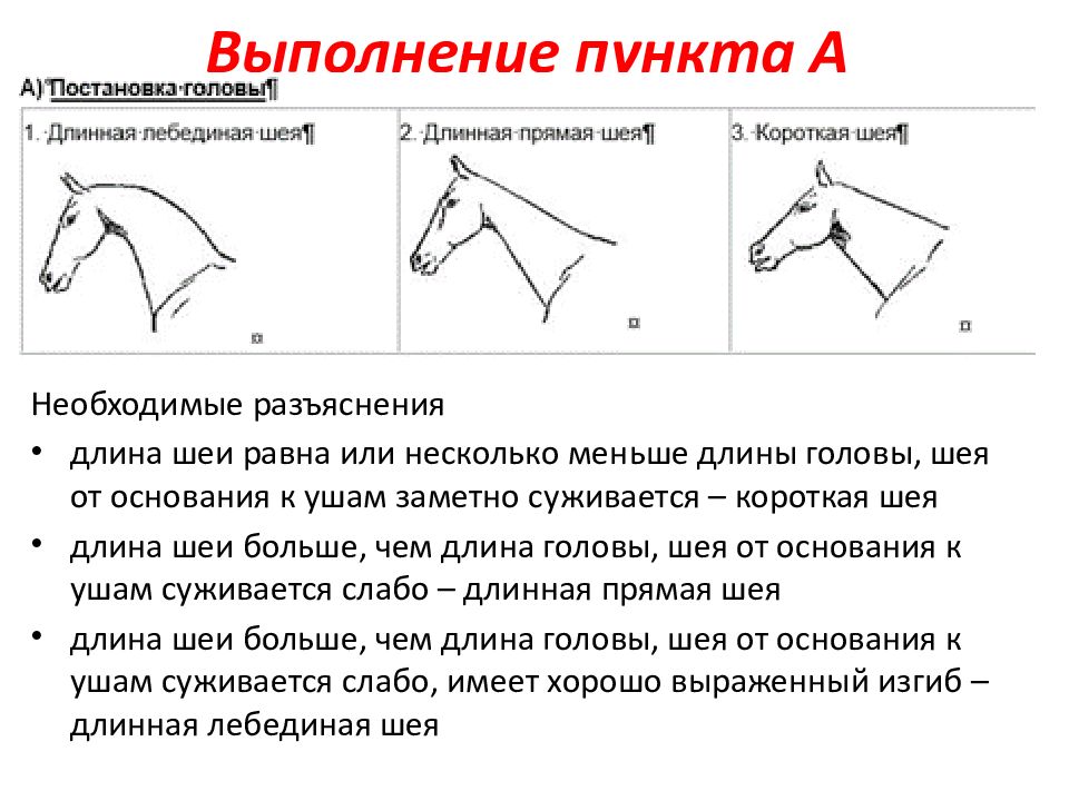 Выполнение пунктов