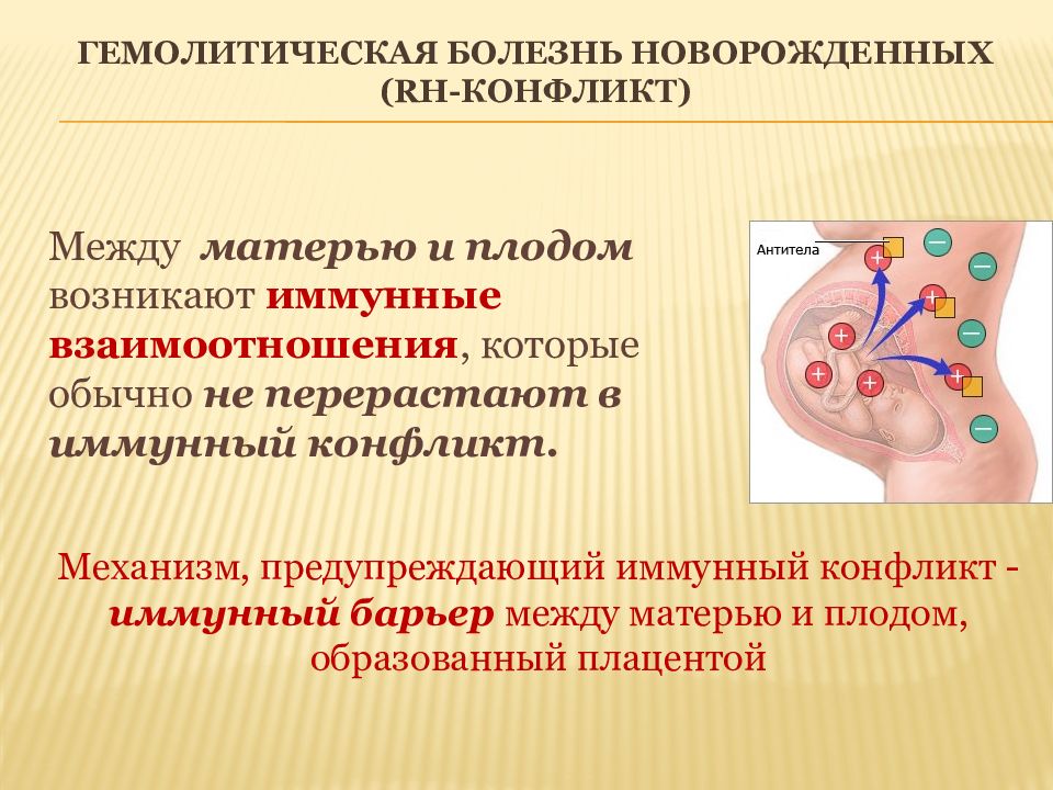 Анемия гемолитической болезни новорожденных. Резус-фактор и гемолитическая болезнь новорожденных. Гемолитическая болезнь плода иммунология. Механизм развития гемолитической болезни новорожденных. Иммунологическая несовместимость крови матери и плода.