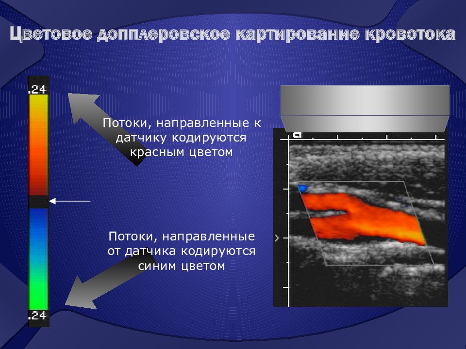 Презентация на тему ультразвуковые методы исследования