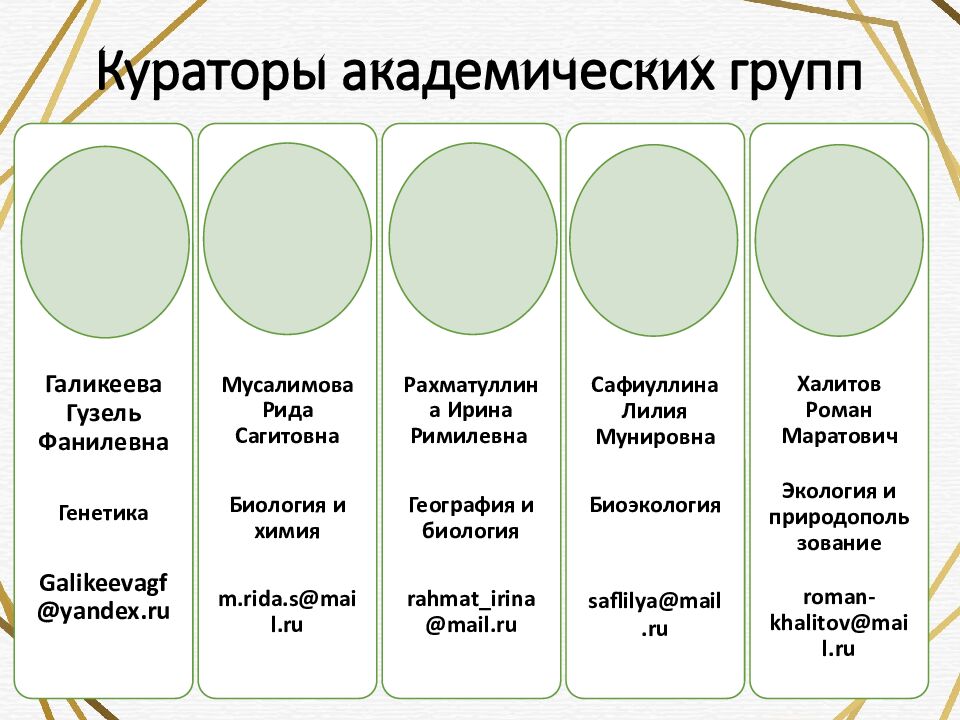 Кураторы академических групп