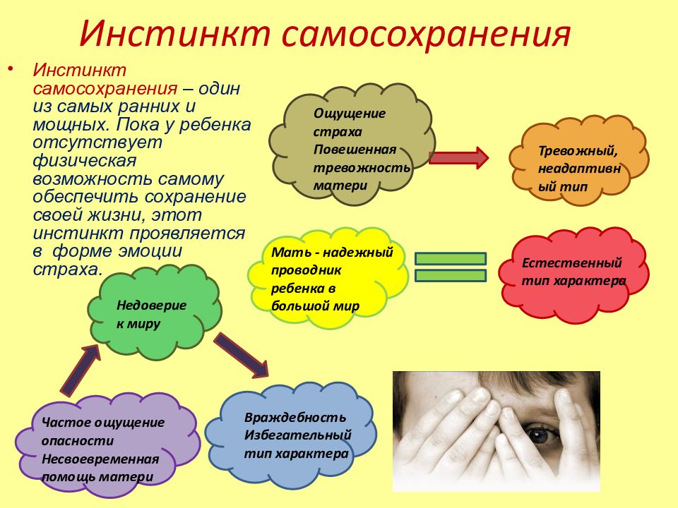 Презентация инстинкты человека