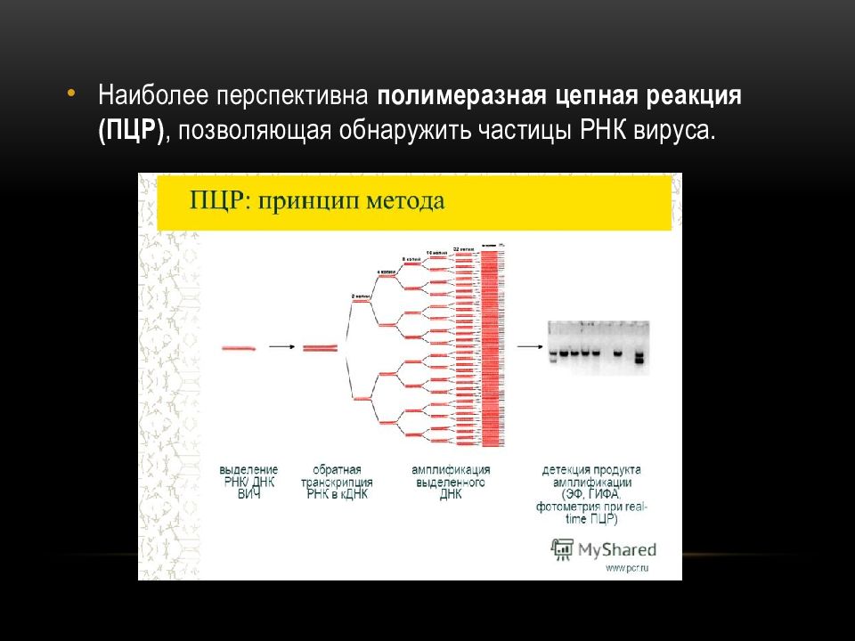 Полимеразная цепная реакция. Полимеразная цепная реакция ВИЧ. ПЦР С обратной транскрипцией. РНК ВИЧ.