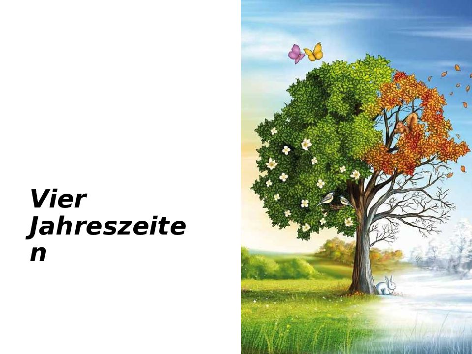 Vier Jahreszeiten