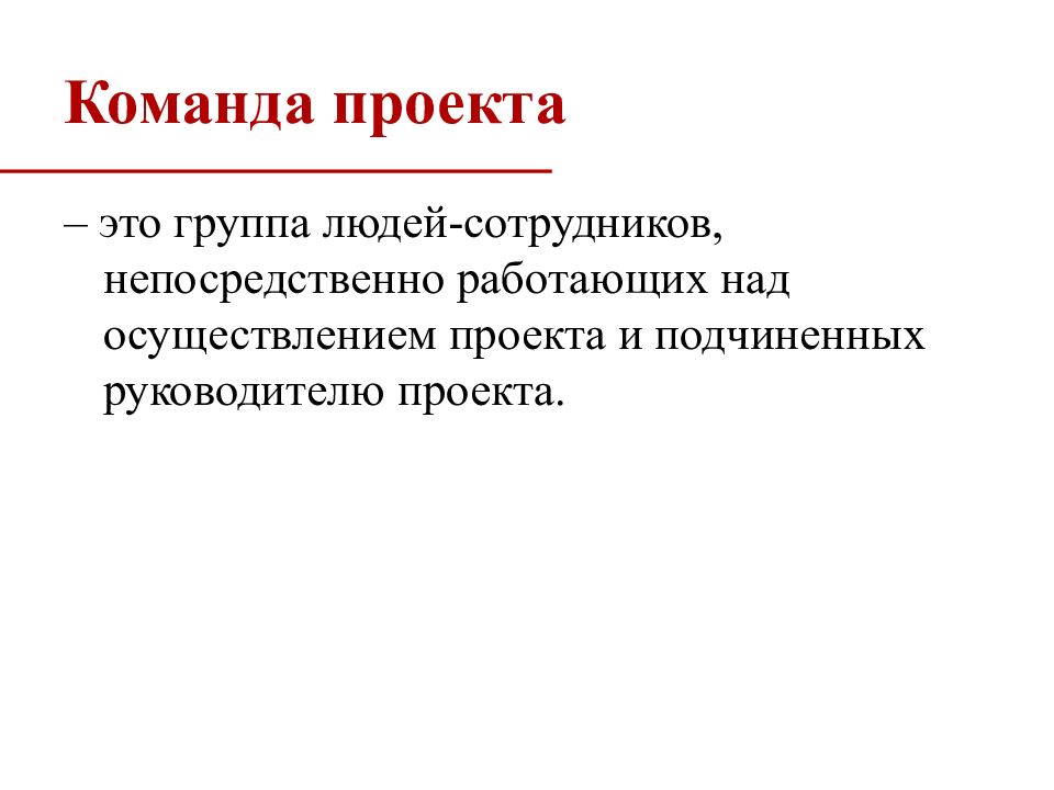 Группа специалистов непосредственно работающих над реализацией проекта