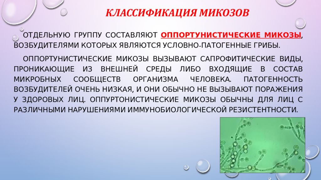 Патогенные грибы микробиология презентация