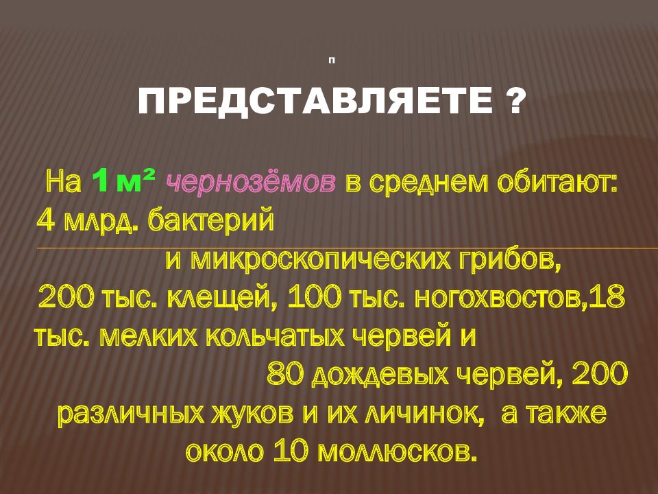 Презентация на тему география 6 класс