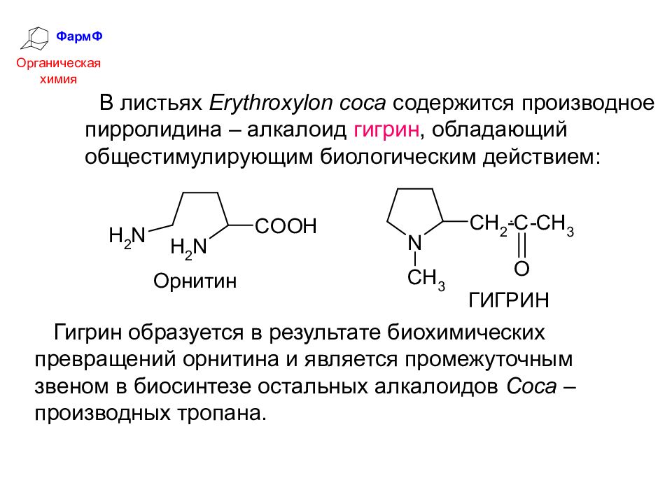 Презентация по химии алкалоиды