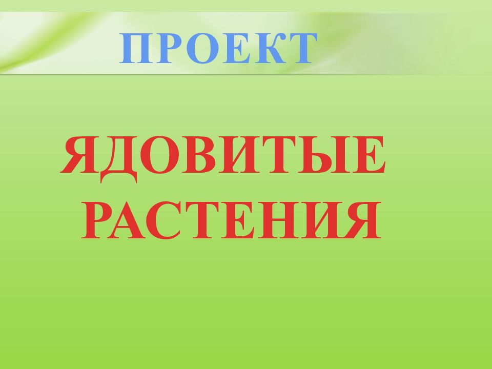 Осторожно ядовитые растения проект