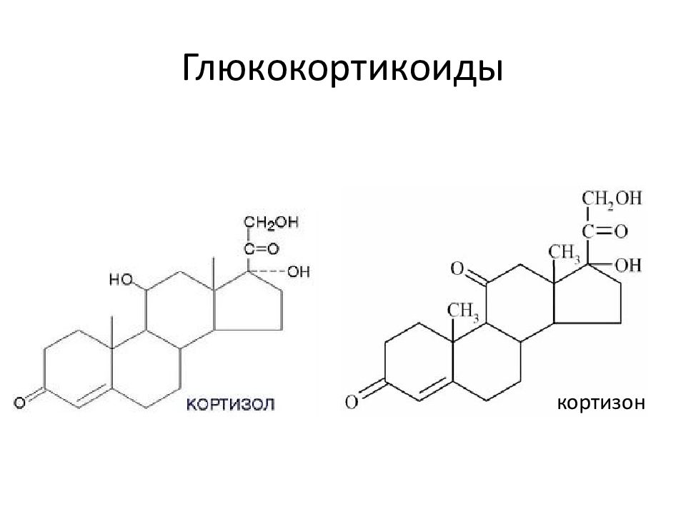 Кортизон гормон