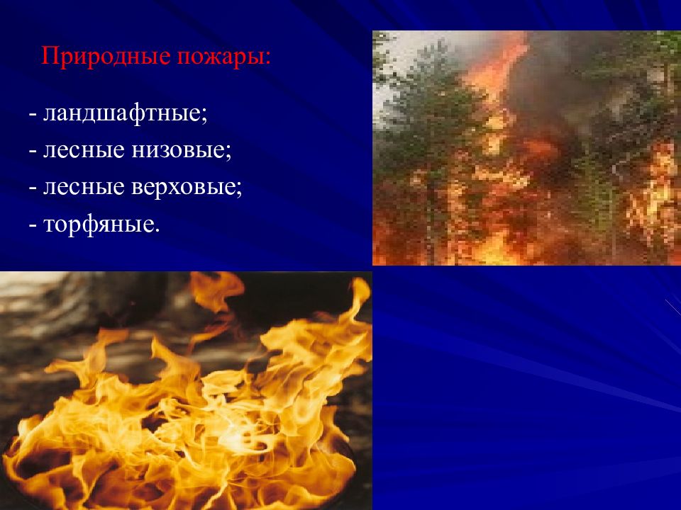 Лесной пожар относится к биологически опасным явлениям. Ландшафтный природный пожар. Пожар для презентации. Пожары природного характера. Природные пожары ЧС природного характера.