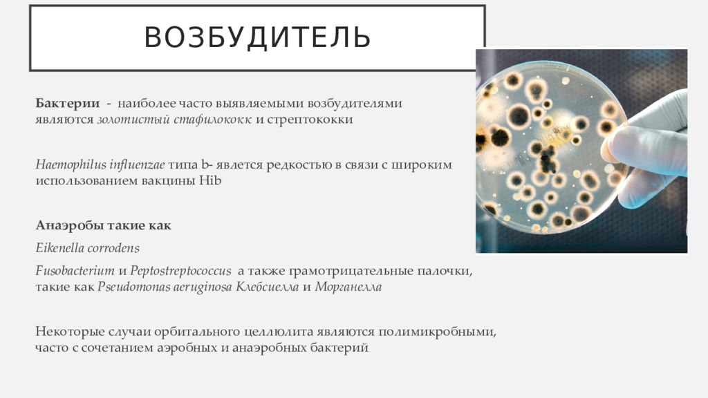 Риногенные орбитальные осложнения презентация