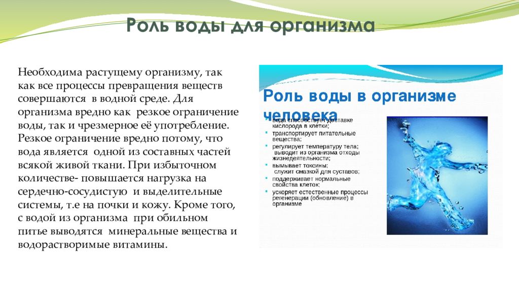 Растущий организм. Роль воды в организме. Важность воды для организма. Роль воды в питании. Вода необходима организму для.