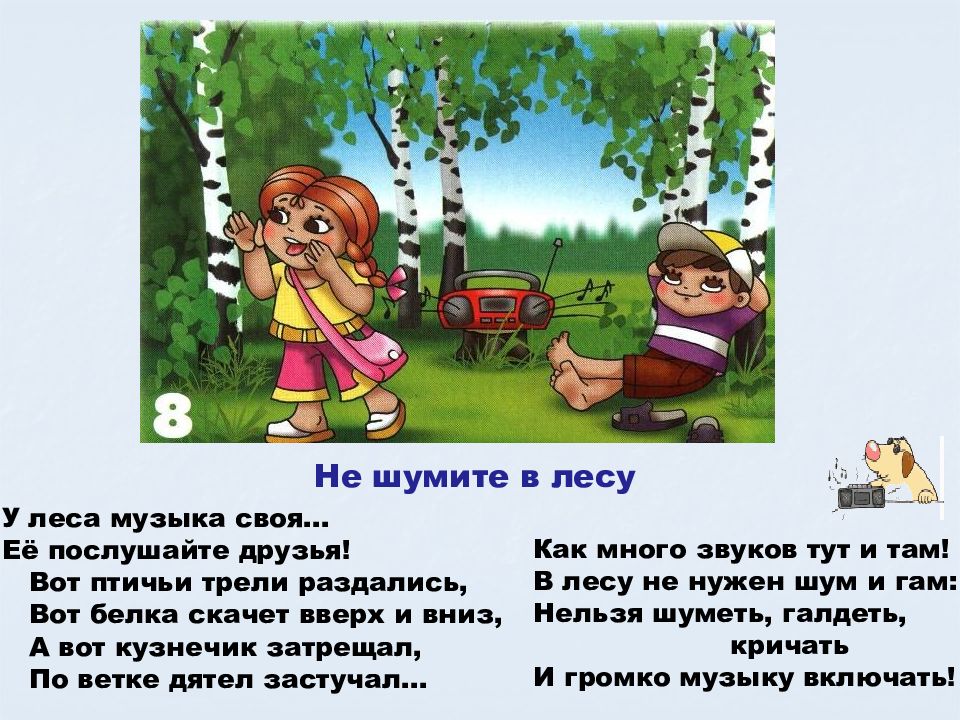 Лес это богатство правила поведения в лесу занятие в старшей группе презентация