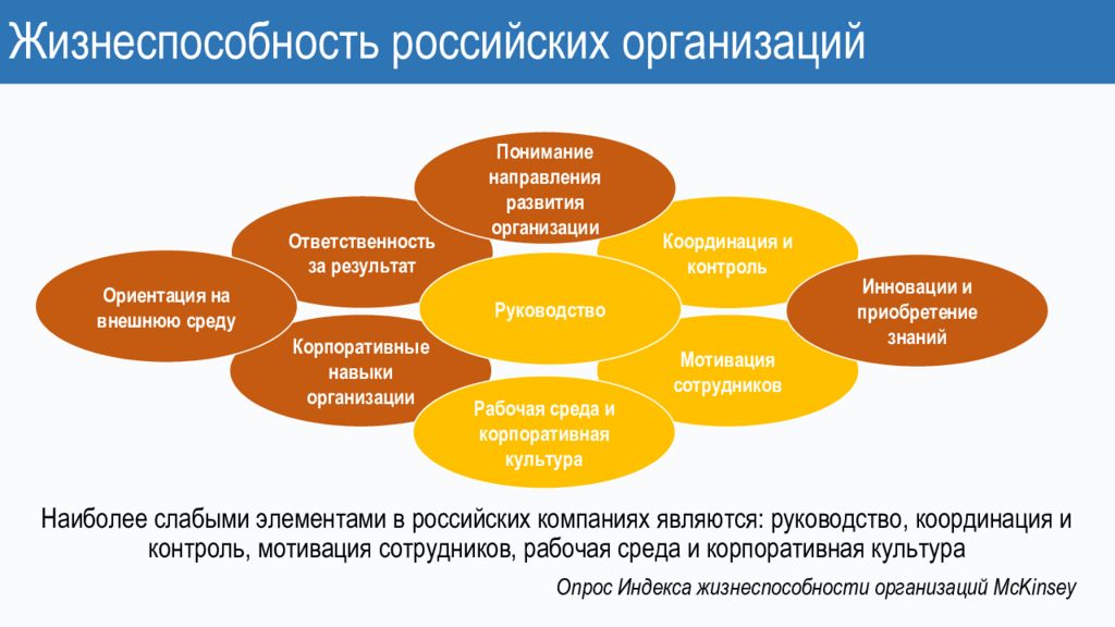 Понимание направлено. Жизнеспособность фирмы. Жизнеспособность примеры. Корпоративная культура HR процессы. Жизнеспособность страны схема.