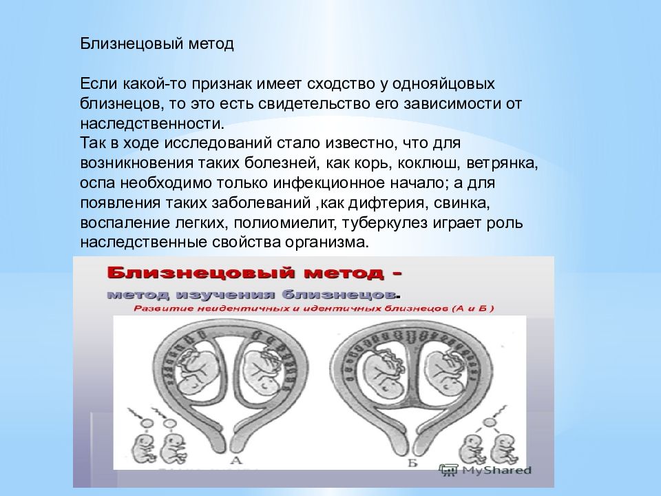 Значение генетических карт