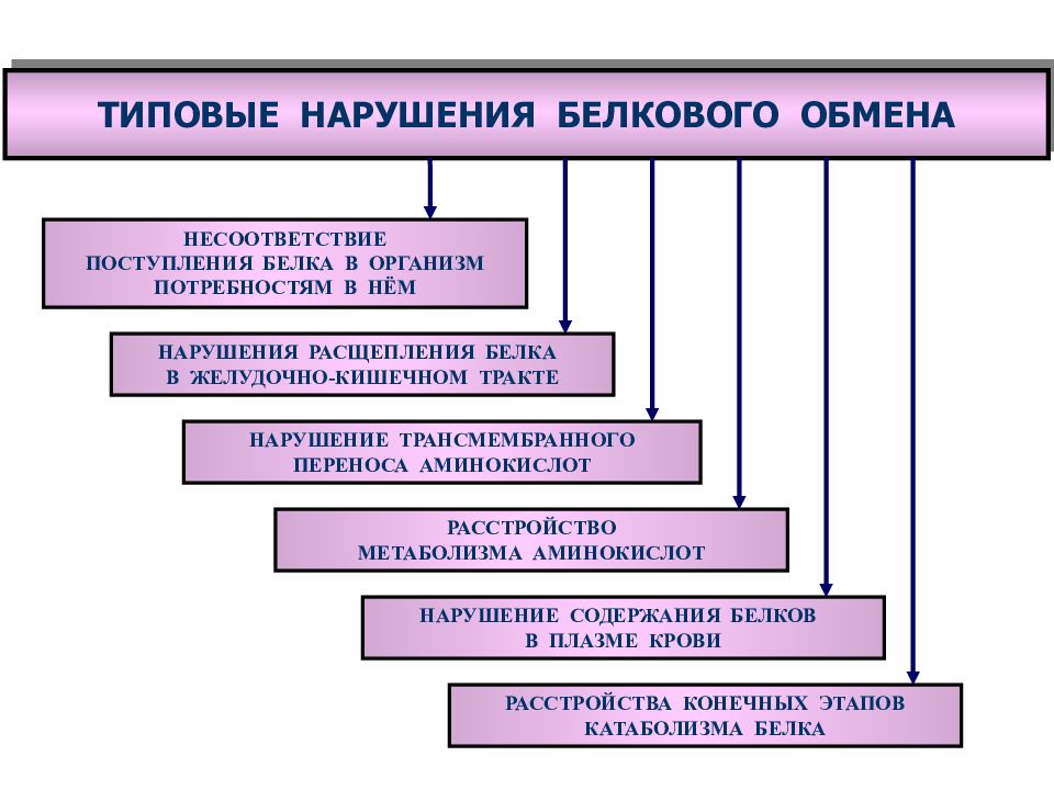 Патофизиология белкового обмена презентация