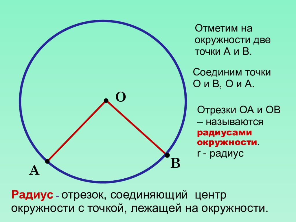 На окружности отмечены. Круг точки окружности. Отметьте точки на окружности. Окружность с радиусом ОА. Провести два радиуса окружности.